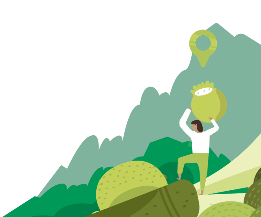 Sports Nutrition - Nutritionist Resource